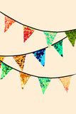 HIRE SEQUIN BUNTING - MULTI - COLOUR - Rosa BloomAccessories